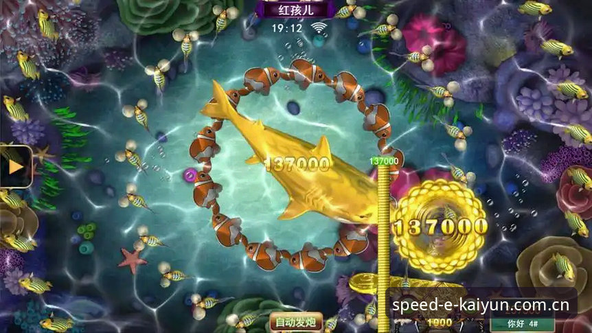 开云体育投注下载 kaiyun竞猜平台全面评测:开云体育投注下载体验深度分析